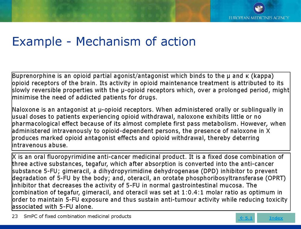 SmPC Training for EMA - June 2019_Page_24.jpg